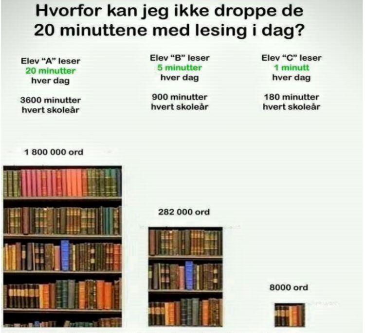 Les 20 minutter hver dag