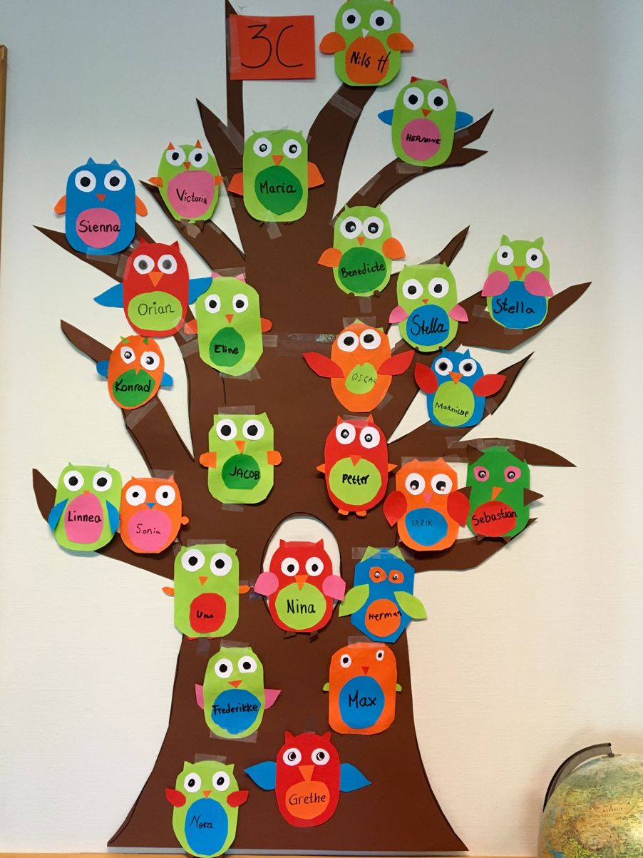 Foto: Fargerike ugler med navn Fargerike ugler med navn