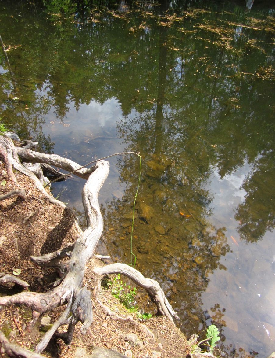 Kunst laget i naturen