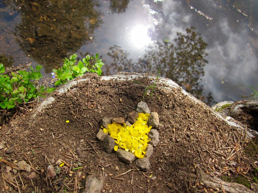 Kunst laget i naturen