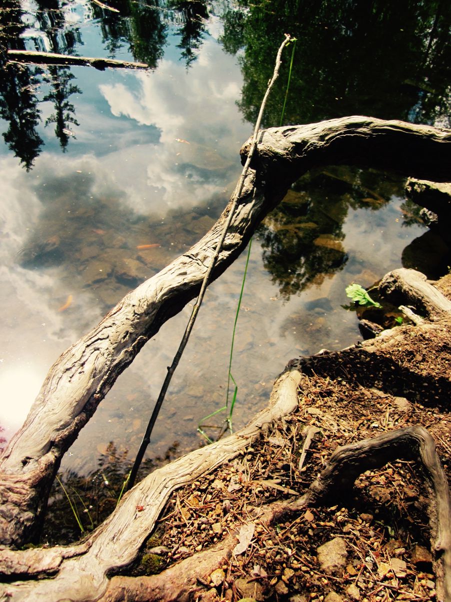 Kunst laget i naturen