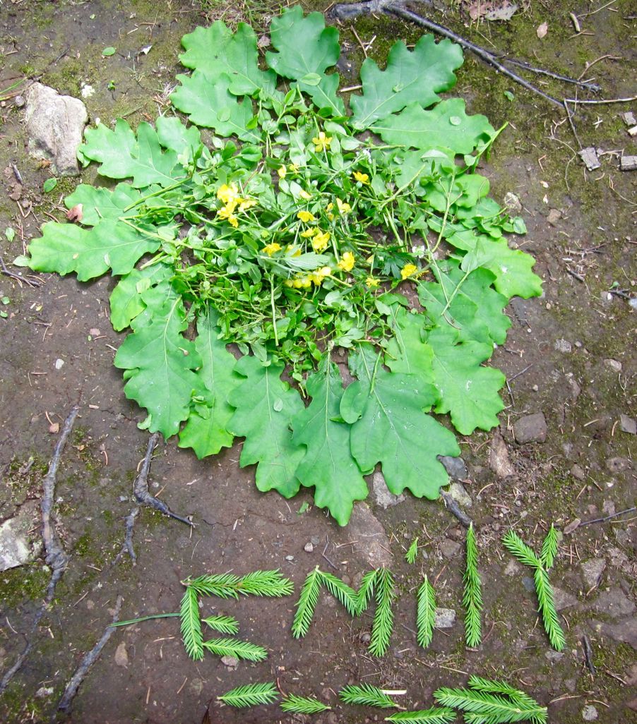 Kunst laget i naturen