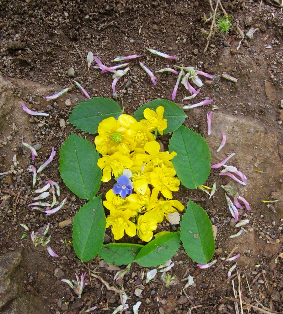 Kunst laget i naturen