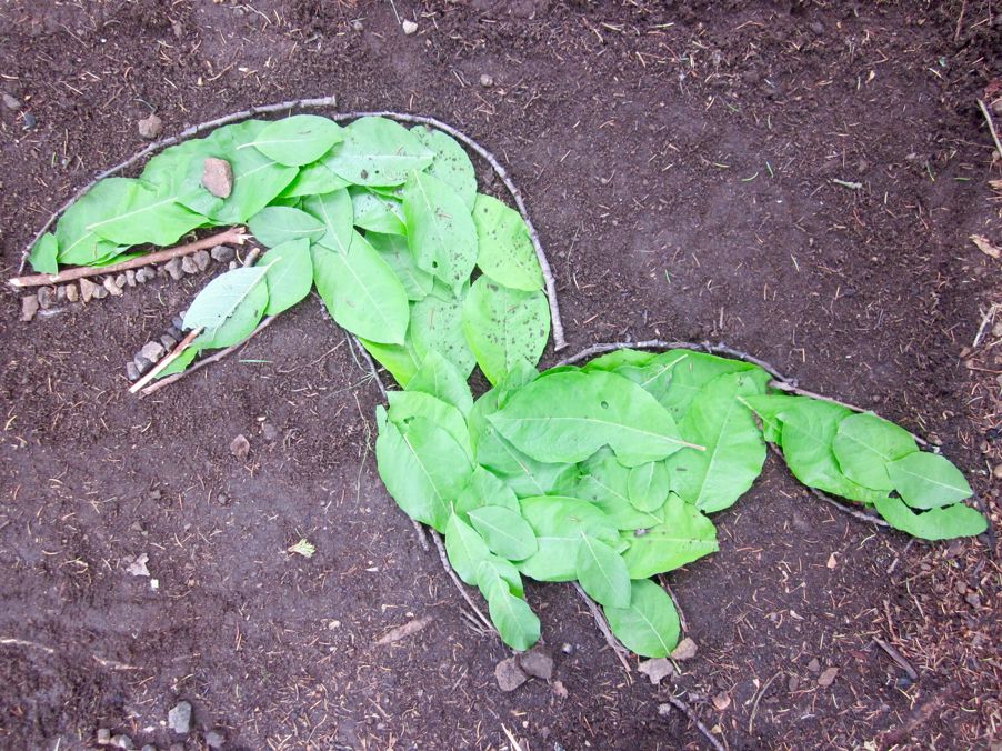 Kunst laget i naturen