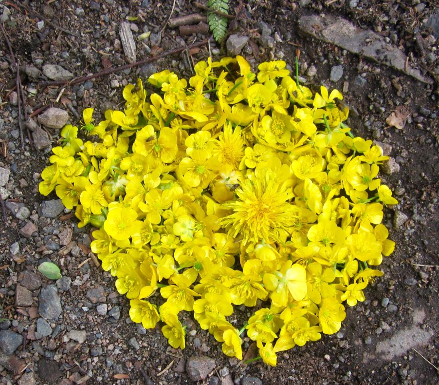 Kunst laget i naturen