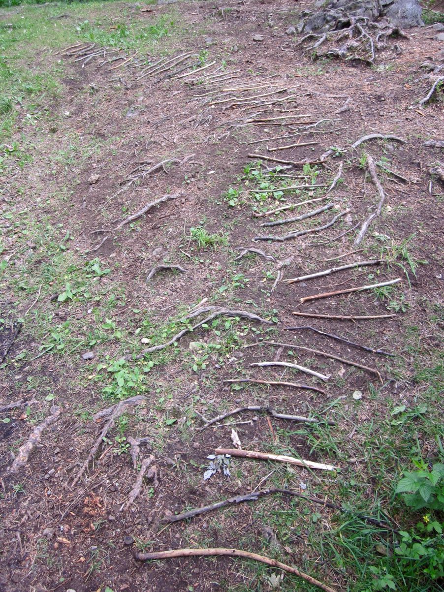 Kunst laget i naturen