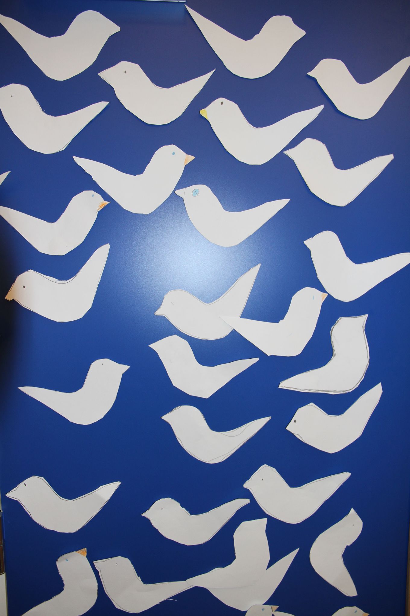 Foto: Fredsduer Fredsduer