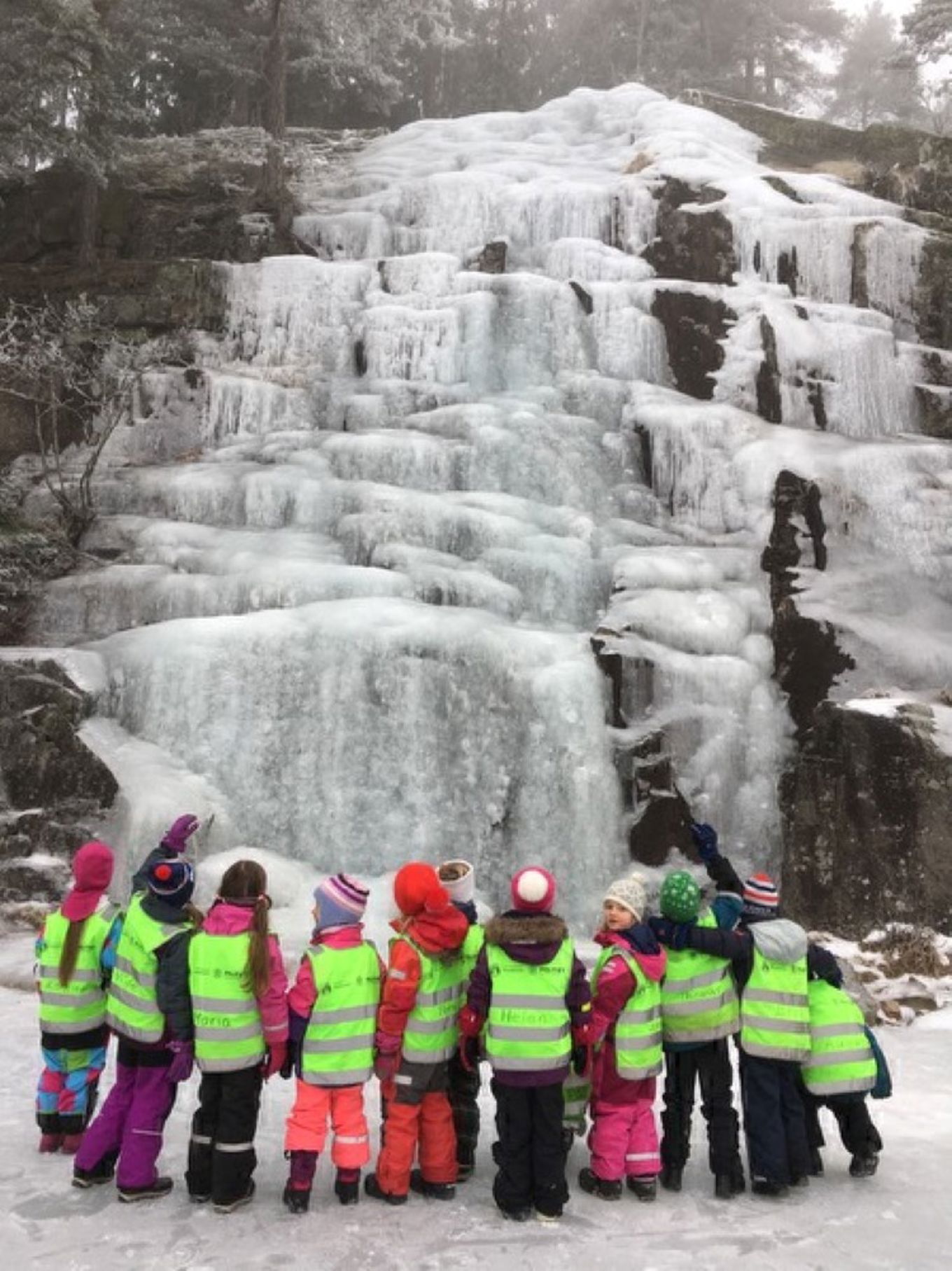 Foto: 1.kl på tur til Bånntjern. 1.kl på tur til Bånntjern.