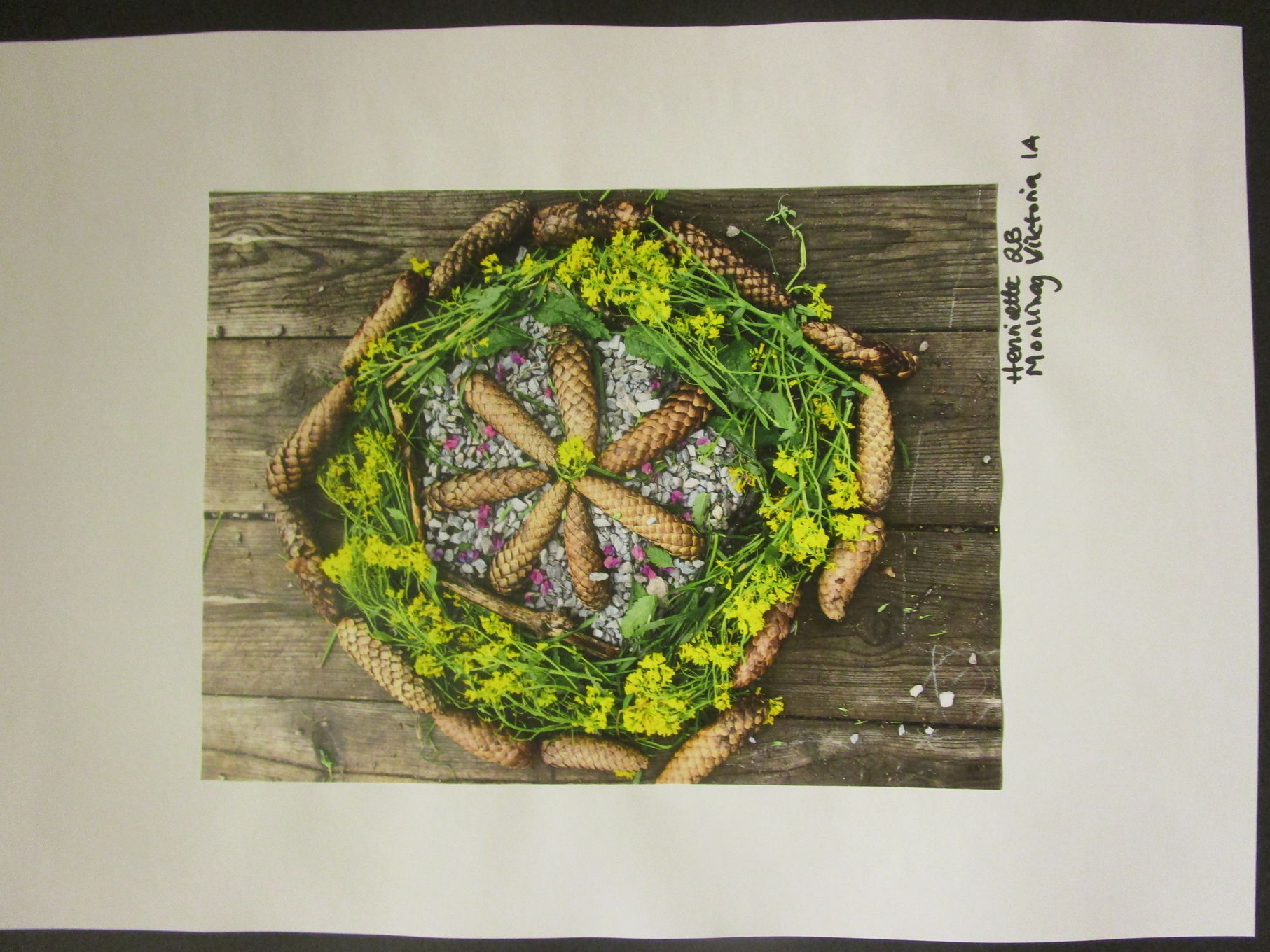 Foto: Kunst av naturmaterialer Kunst av naturmaterialer