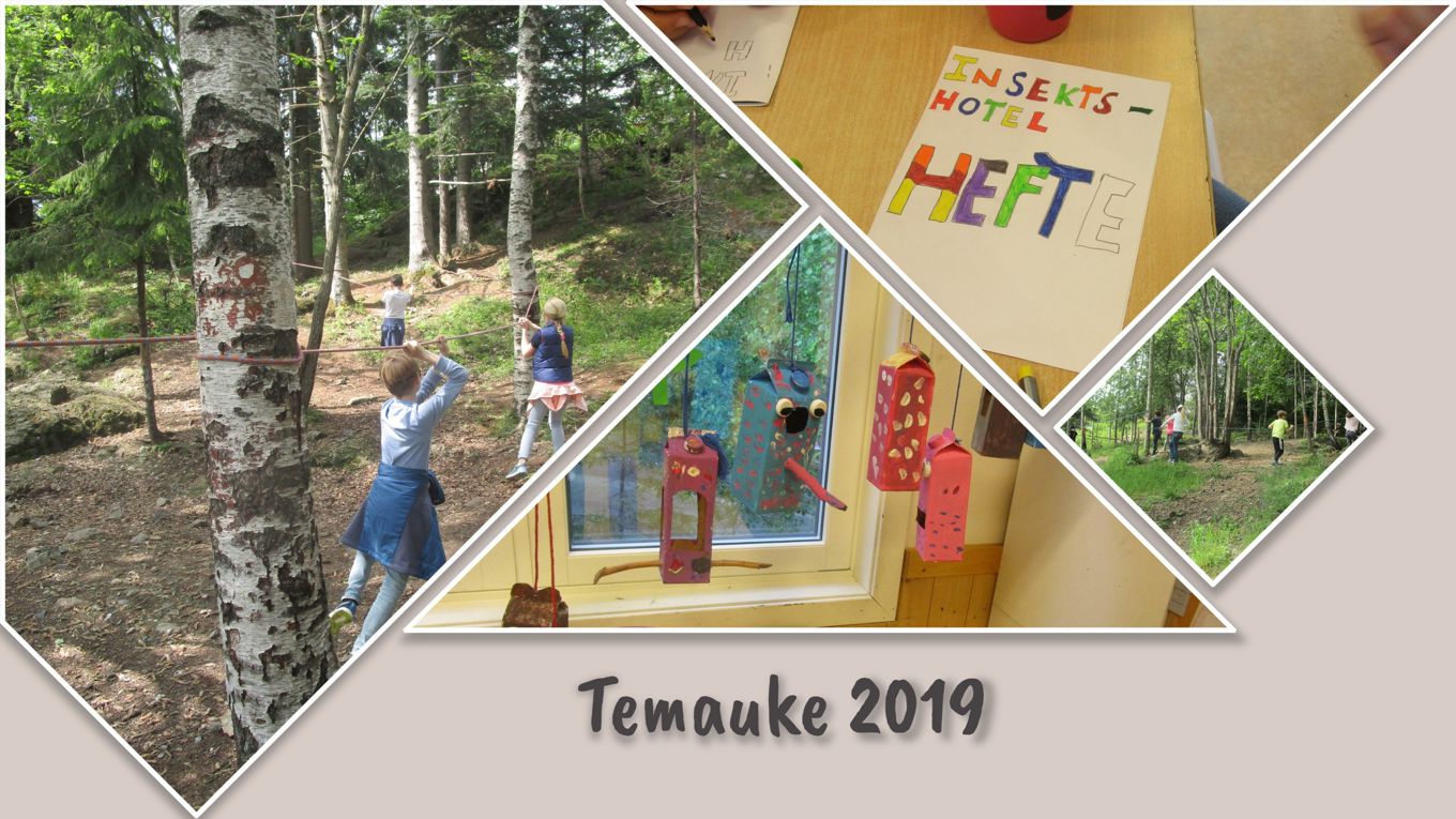 Foto: Et utvalg av ukens arbeid Et utvalg av ukens arbeid