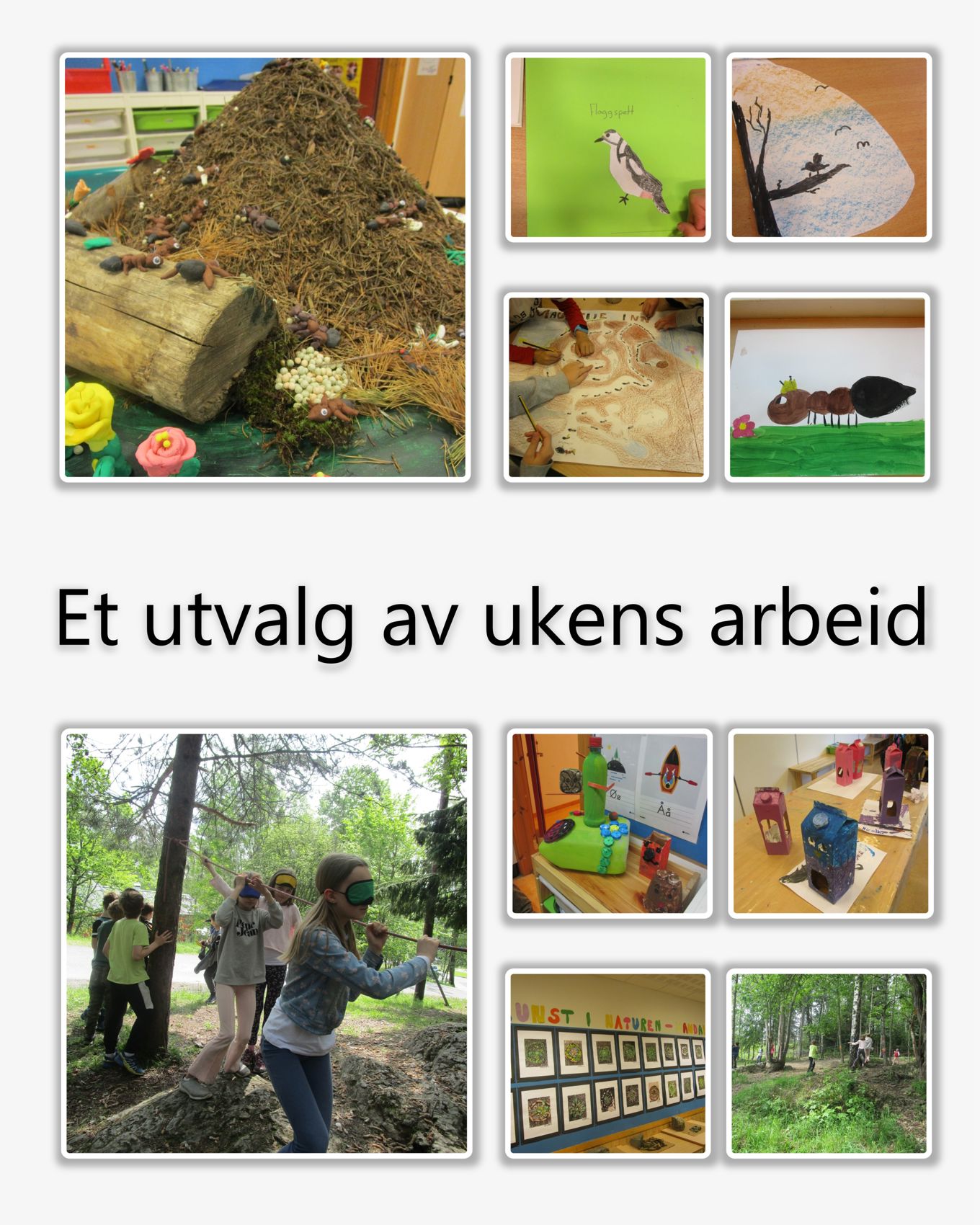 Foto: Et utvalg av ukens arbeid Et utvalg av ukens arbeid