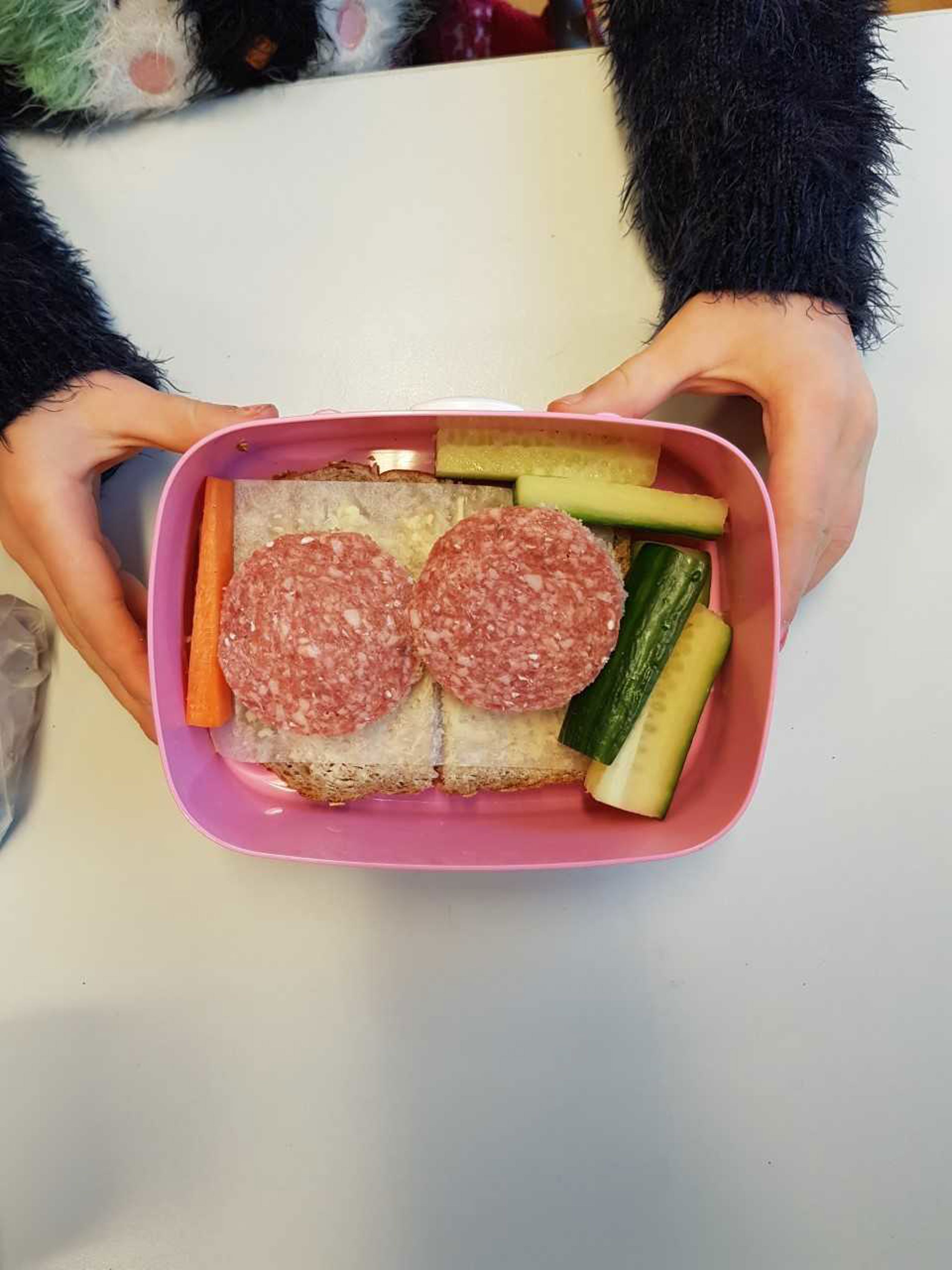 Hundre av salami og agurk Hundre av salami og agurk